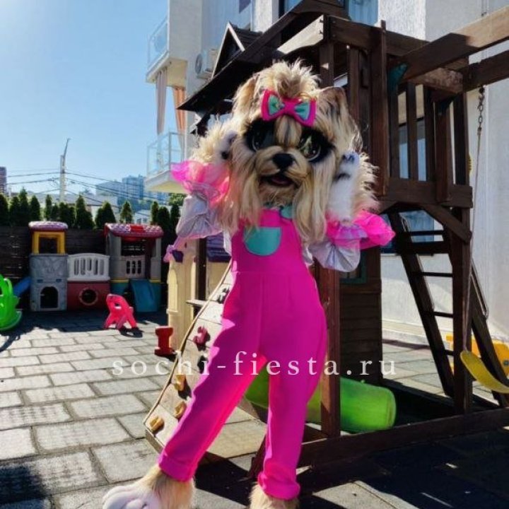 Аниматор Гламурная Собака в Туле
