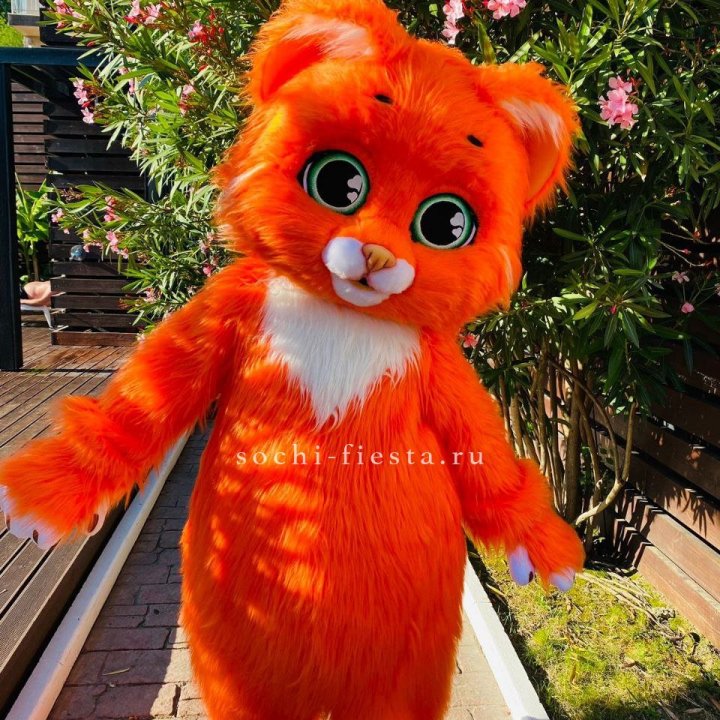 Аниматор Котик в Туле