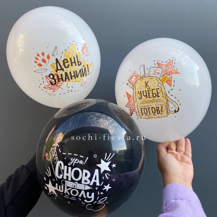 Воздушный шар к 1 сентября в Туле
