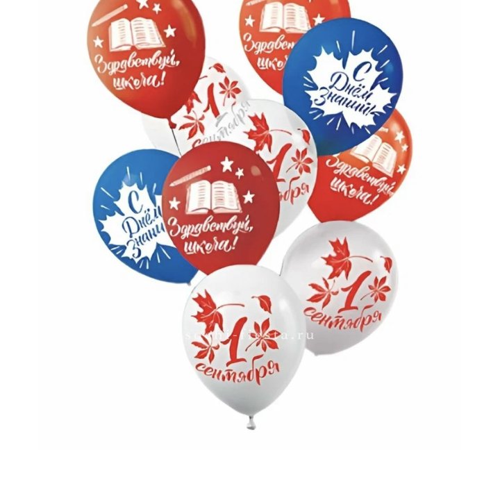 Воздушный шар на день знаний в Туле