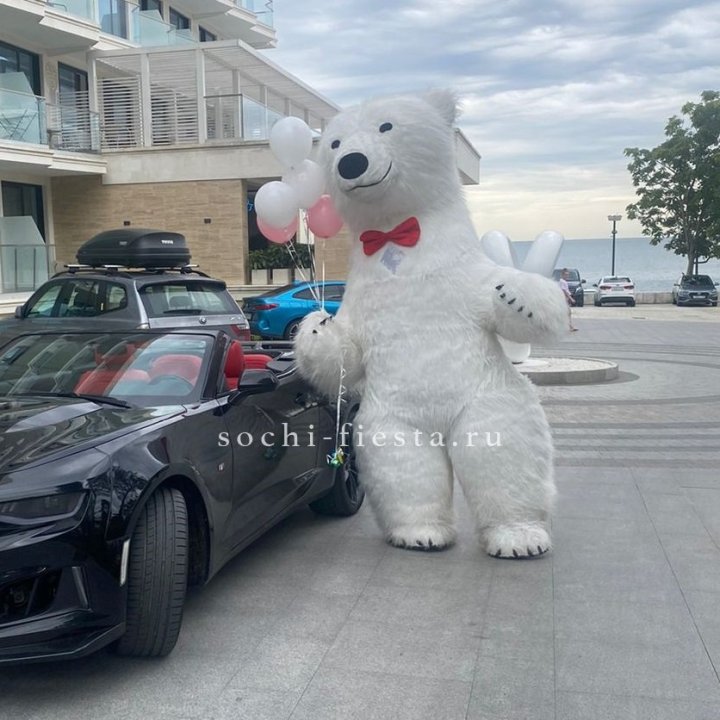 Аниматор Белый Медведь в Туле