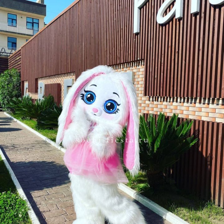 Аниматор Зайка в Туле