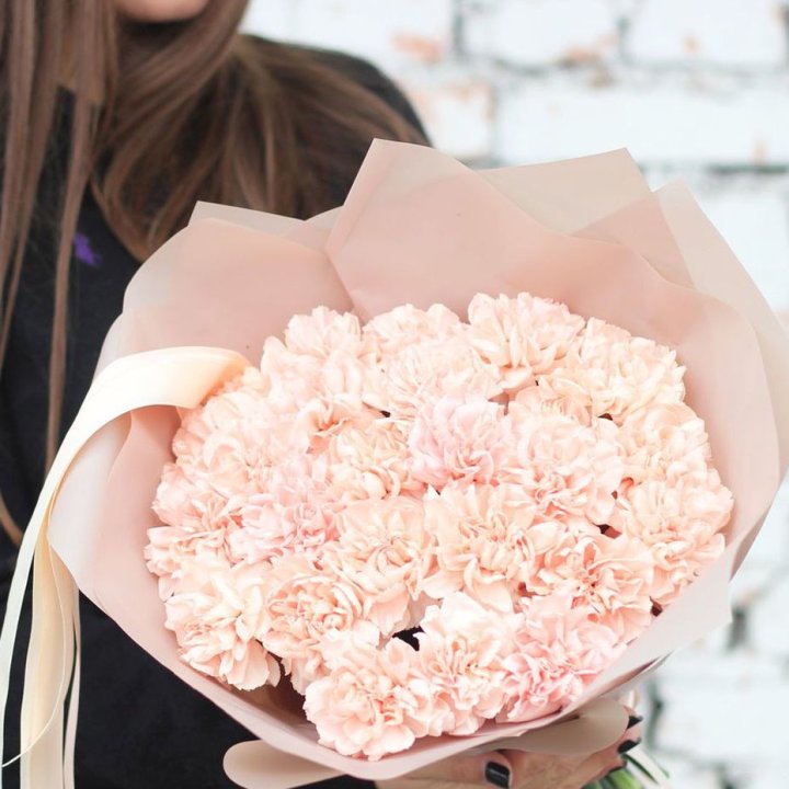 Диантусы №2 в Туле