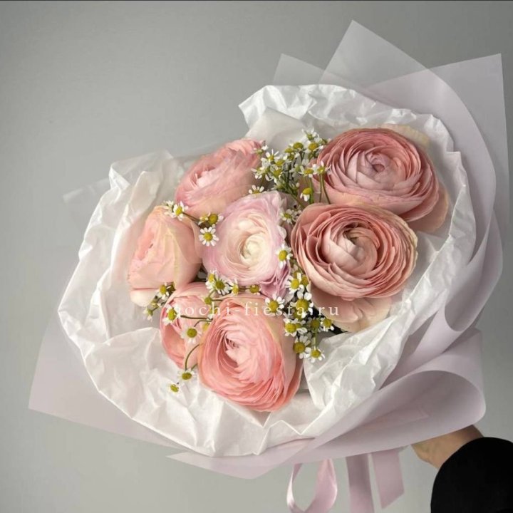 Ранункулюсы с ромашками в Туле