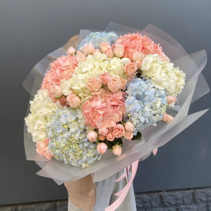 Дуо гортензии и бомбастик в Туле