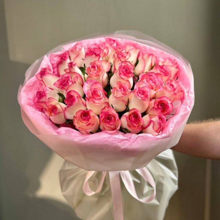 29 джумилий в Туле