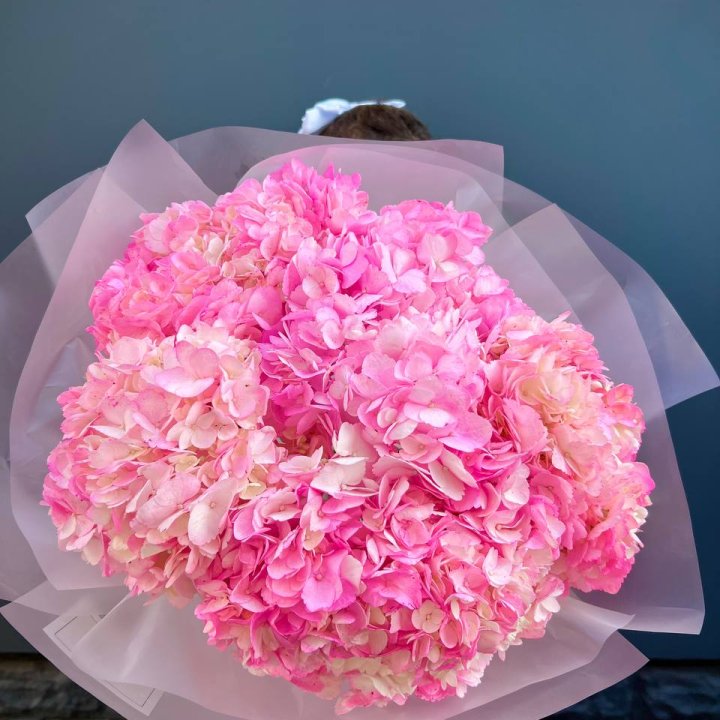 9 ярко розовых гортензий в Туле