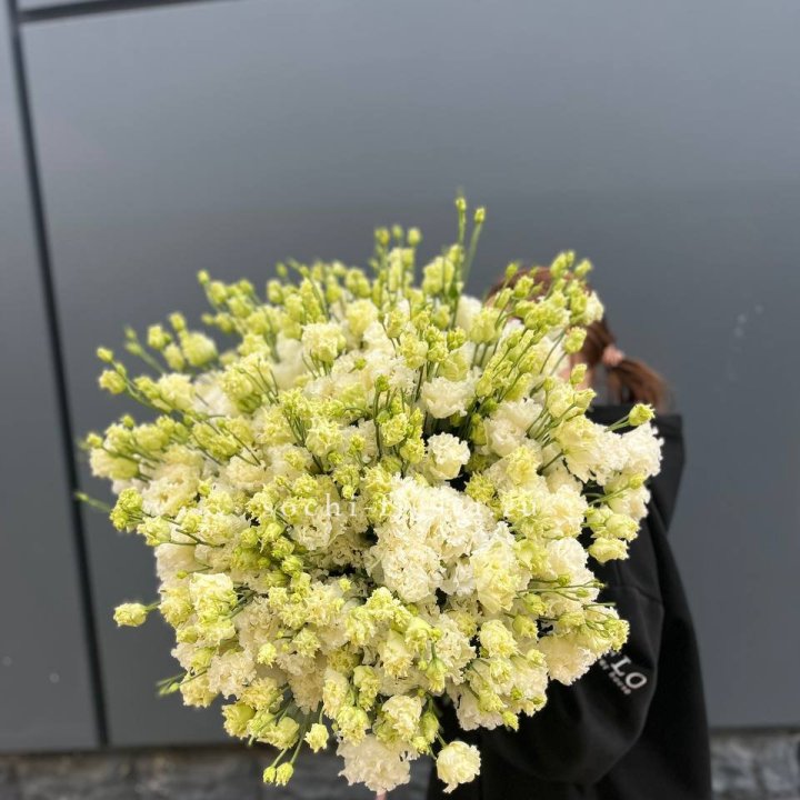 51 белая эустома в Туле