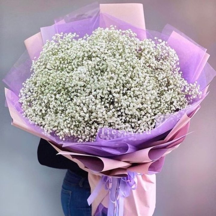 Облако белых гипсофил в Туле