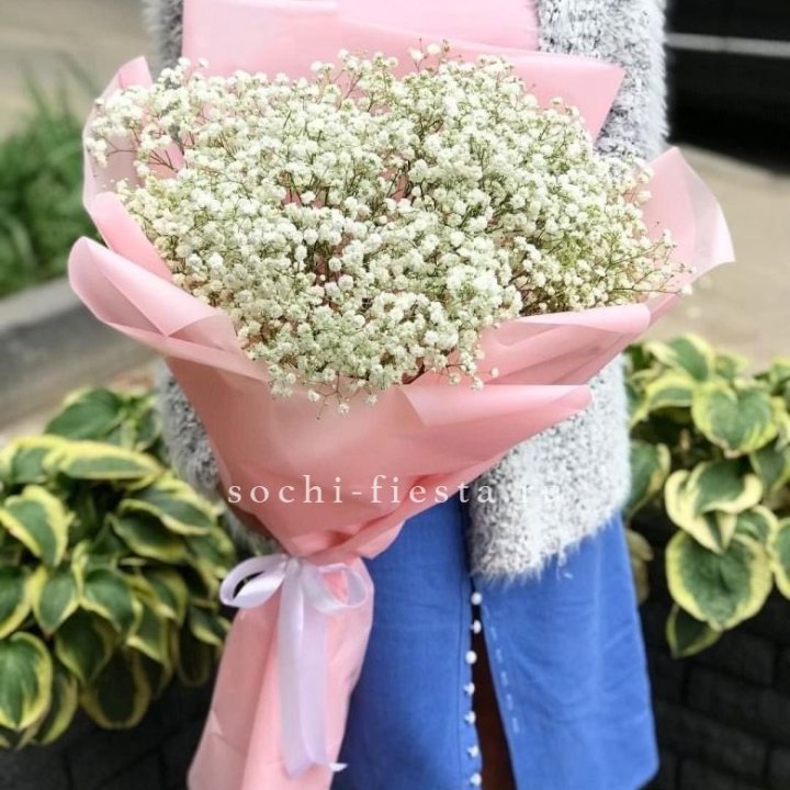 Белоснежные гипсофилы в Туле