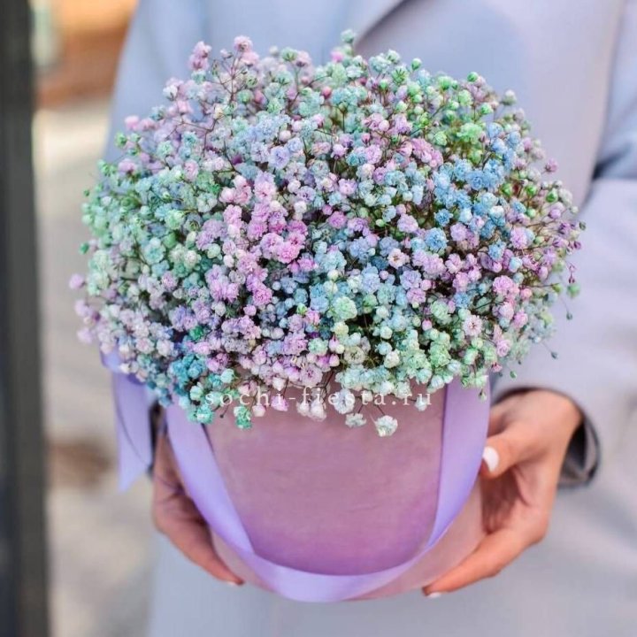 Гипсофилы в шляпной коробке "Кандилайт" в Туле