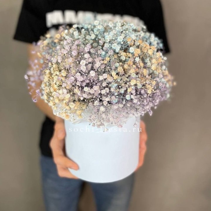 9 Радужных гипсофил в шляпной коробке в Туле