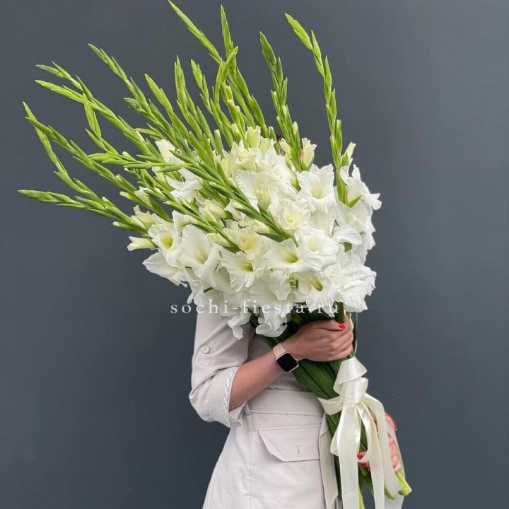 19 белых гладиолусов под ленту в Туле