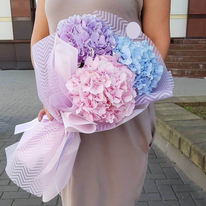 Букет гортензий "Пуф" в Туле