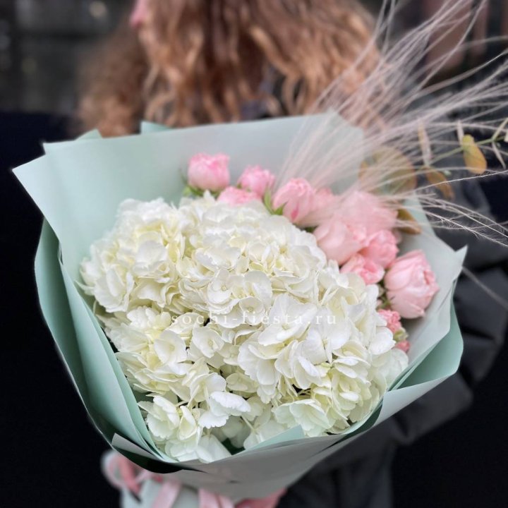 Гортензия "Жасмин" в Туле