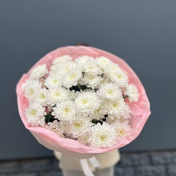  5 хризантем  в Туле