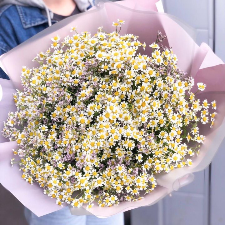 Букет ромашек №1 в Туле