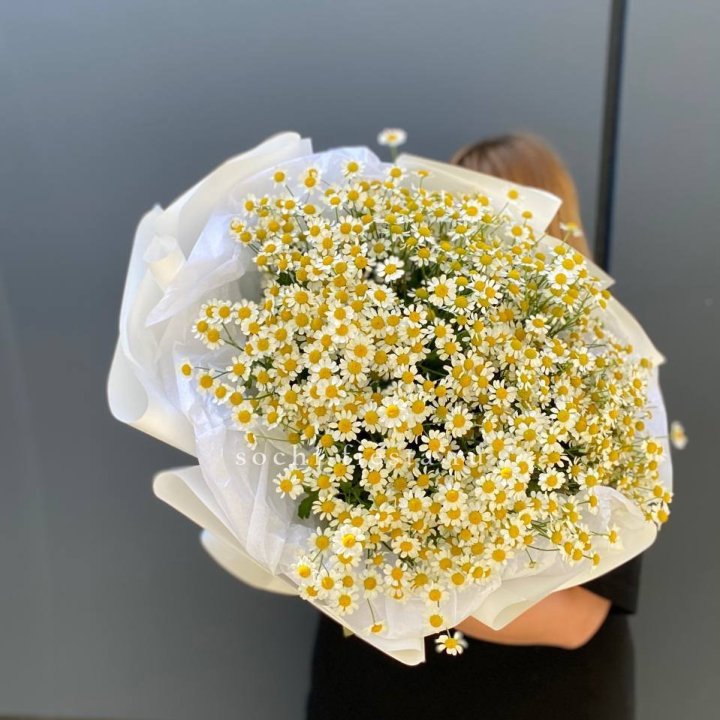 Букет ромашек "Фемели" в Туле