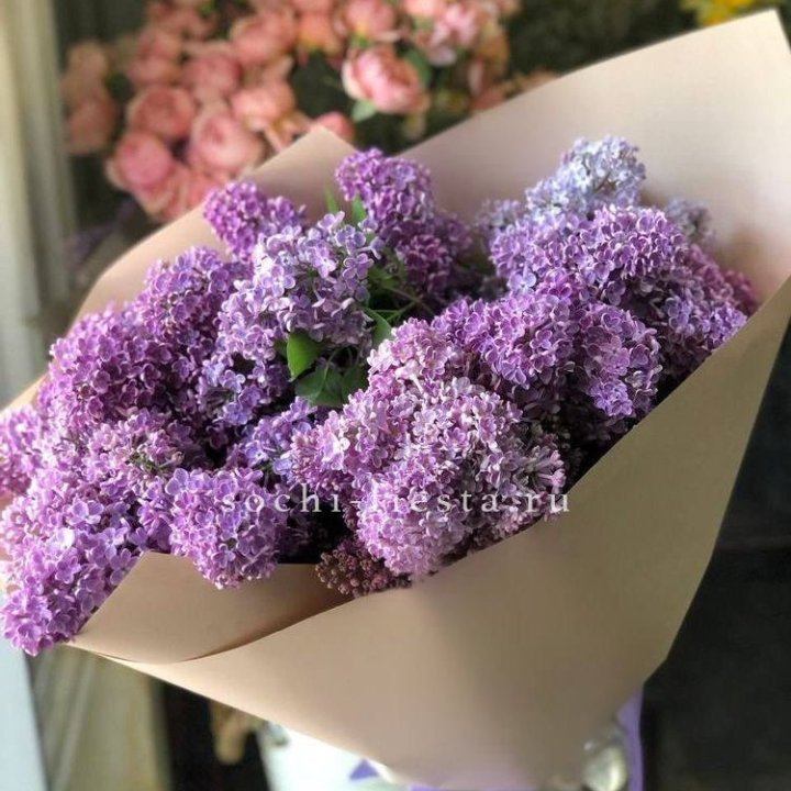 Букет сирени №2 в Туле