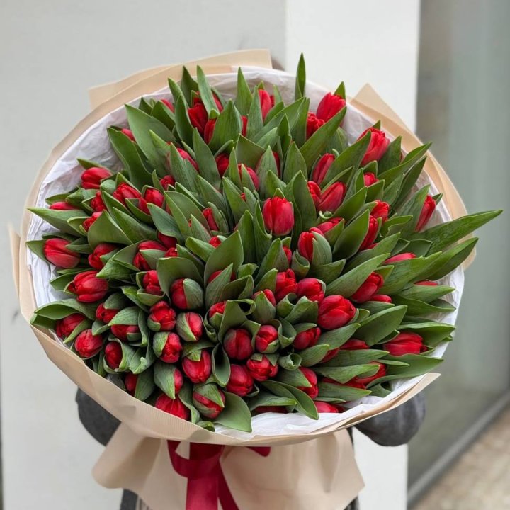 101 красный тюльпан в Туле