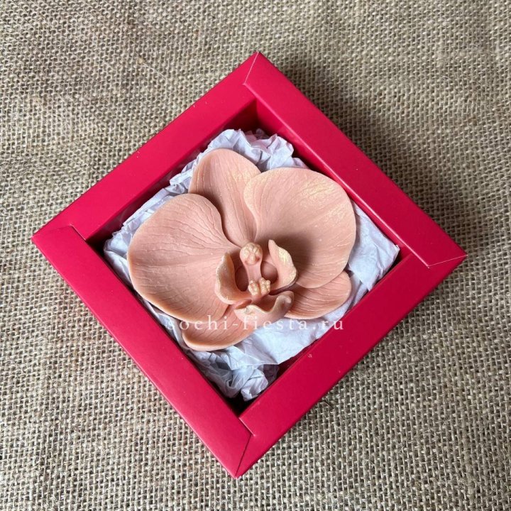 Бельгийский шоколад Орхидея в Туле