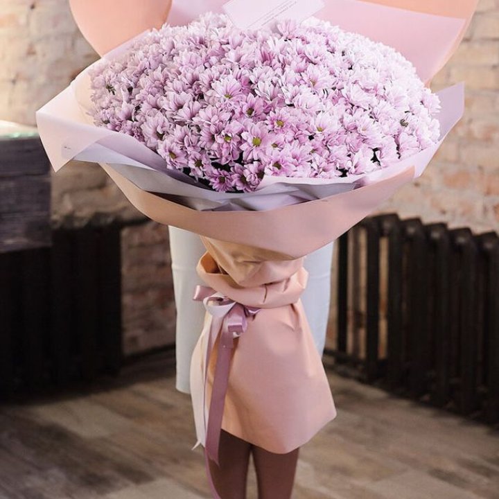 Облако хризантем №1 в Туле