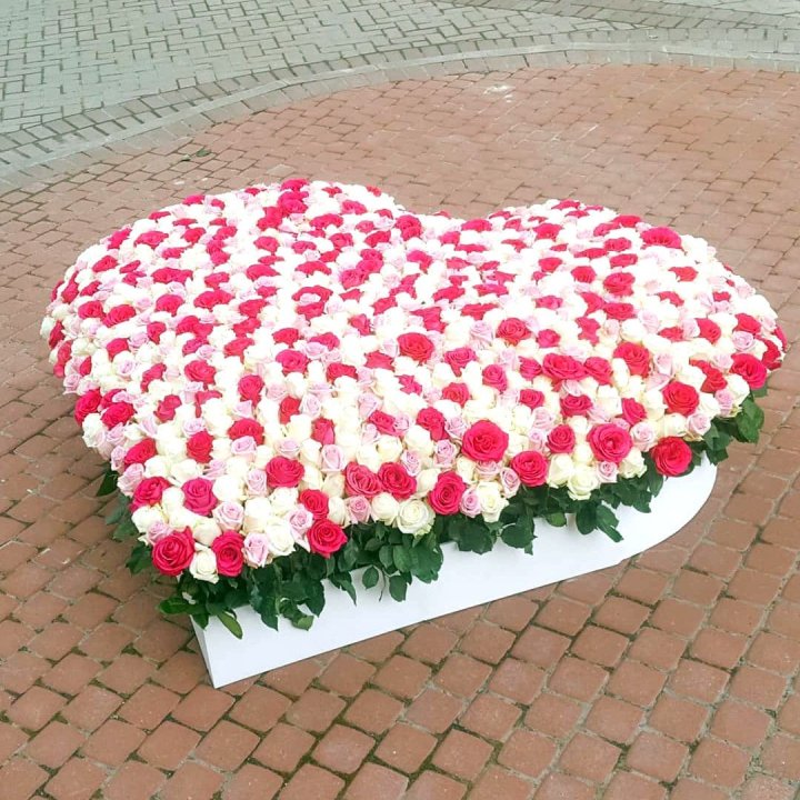 555 роза  в Туле