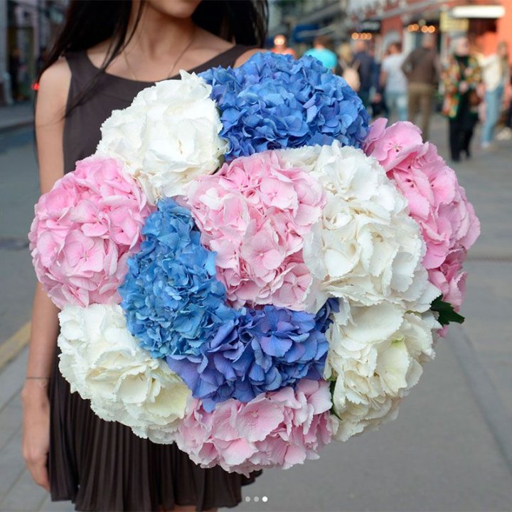 Букет гортензий "Инь-Янь" в Туле