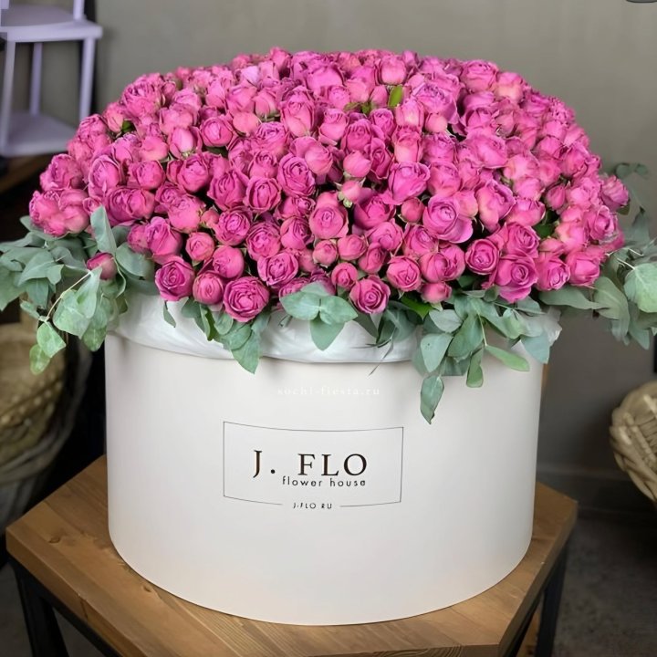 Цилиндр с Мисти Бабблс  в Туле