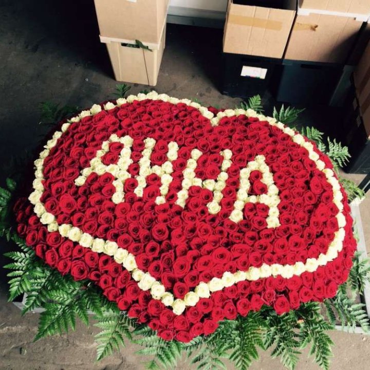 555 роз с именем в Туле