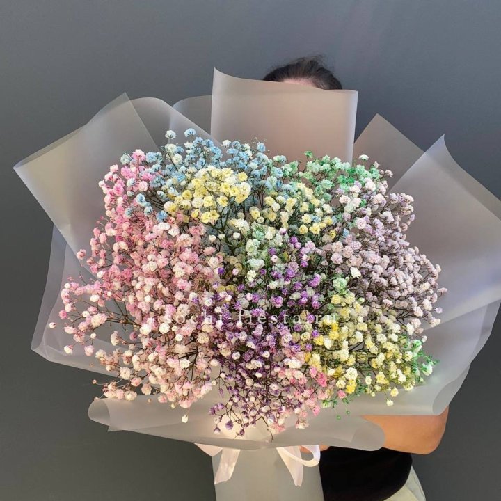 Радужные гипсофилы  в Туле