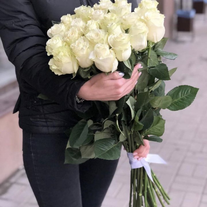 Голландские розы белые в Туле