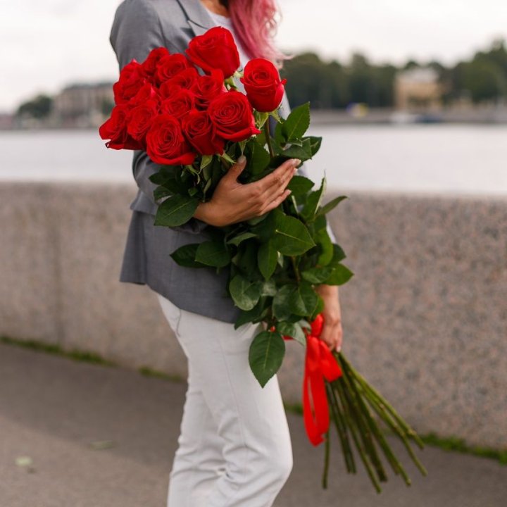 15 метровых голландских роз в Туле