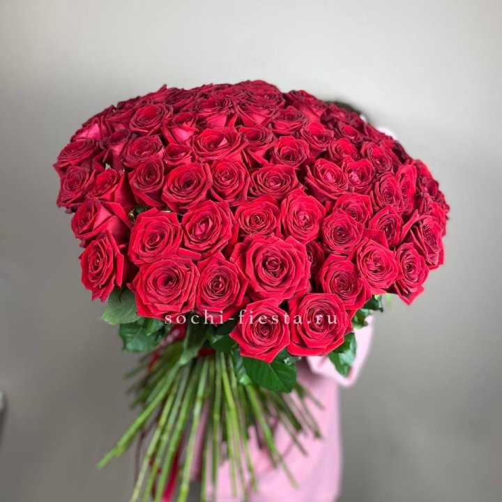 101  голландская роза  в Туле