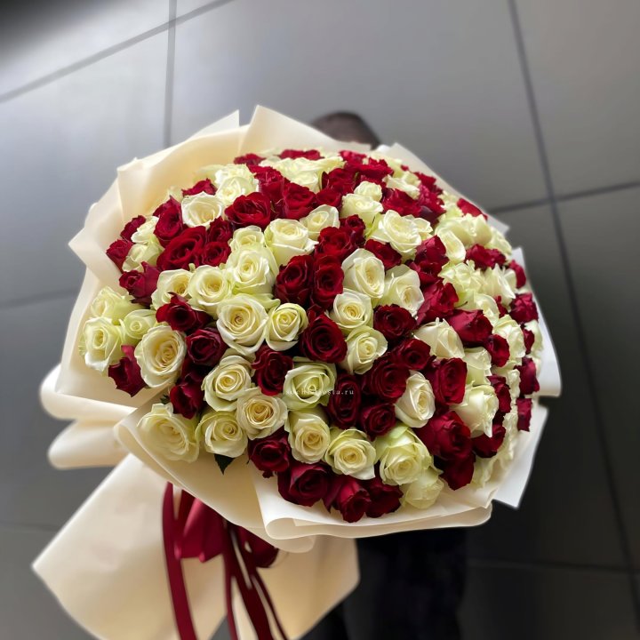 101 высокая импортная роза  в Туле