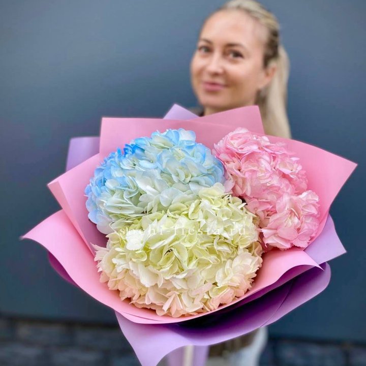 Букет гортензий "Тоника" в Туле