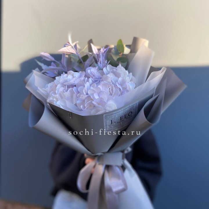 Гортензия "Виолета" в Туле