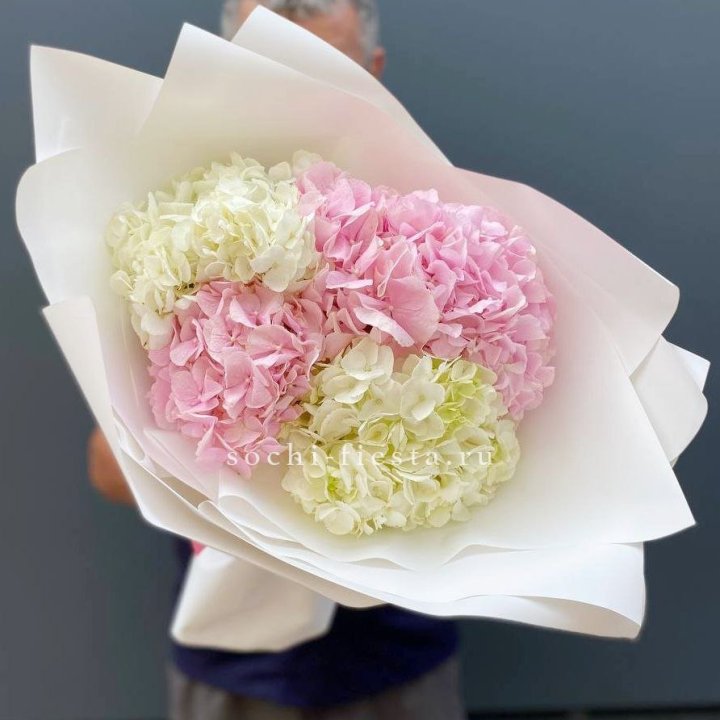Букет гортензий №5 в Туле