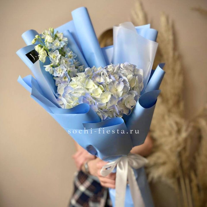 Гортензия "Блю скай" в Туле