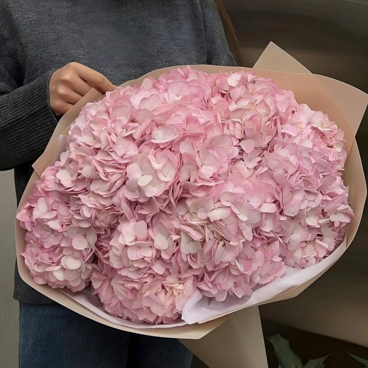 Гортензия  "РОЗЕ" в Туле