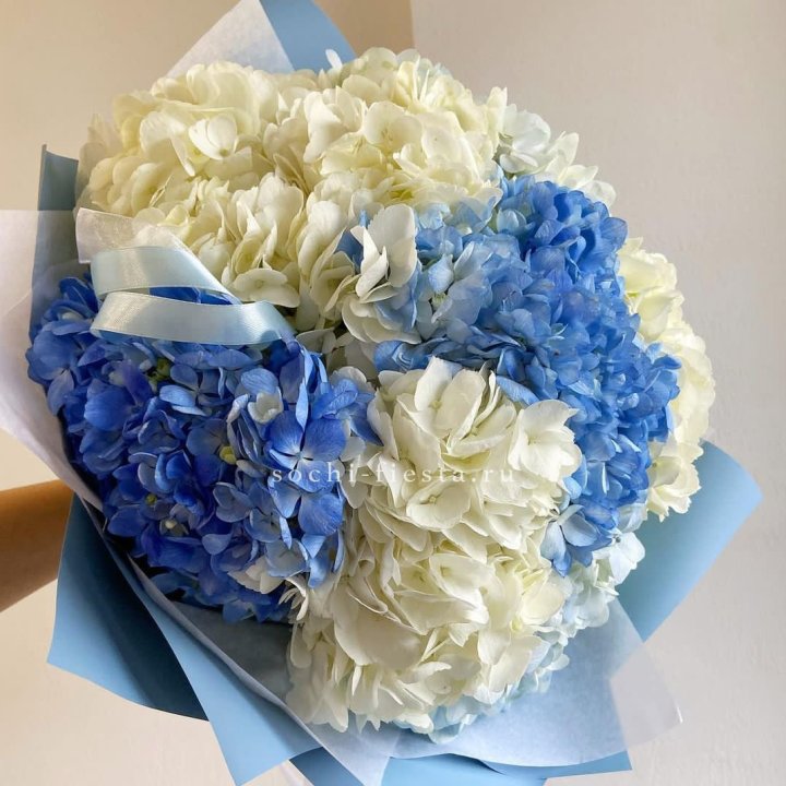 Букет гортензий "Голубая лаза" в Туле