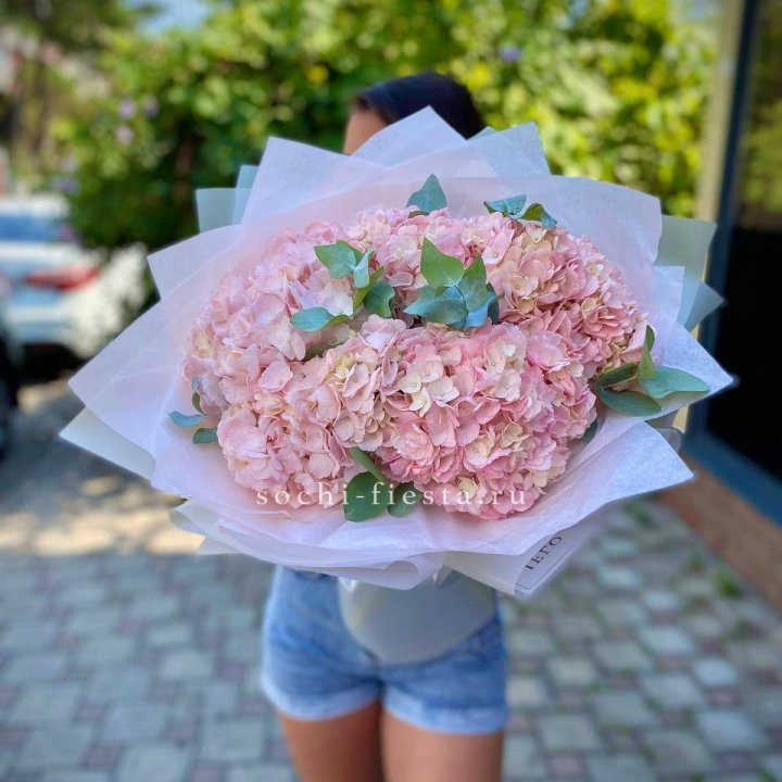 5 розовых гортензий  в Туле