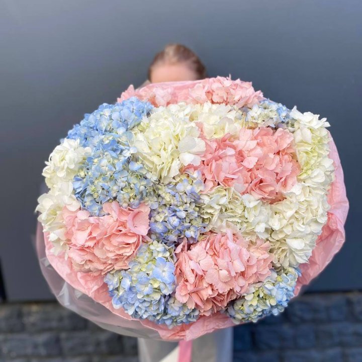 19 гортензий микс в Туле