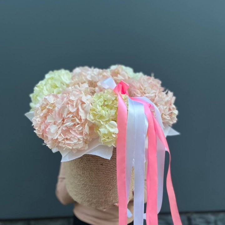 7 гортензий в кашпо в Туле