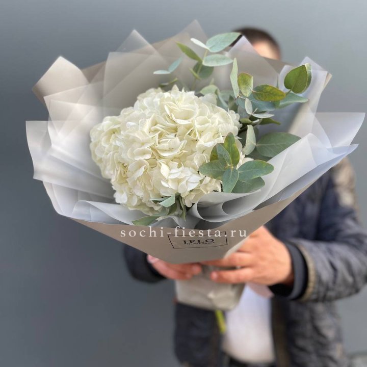  Букет  из белой гортензии в Туле