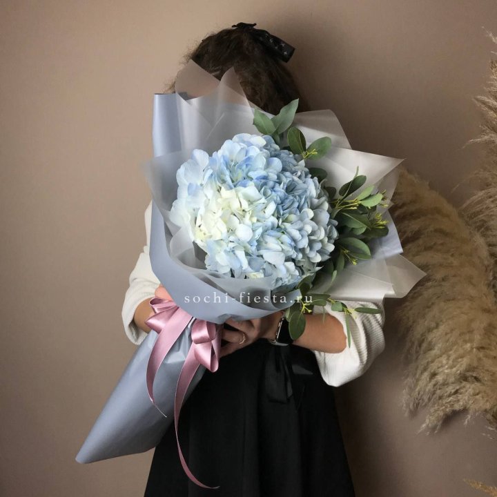 Гортензия Уно в Туле