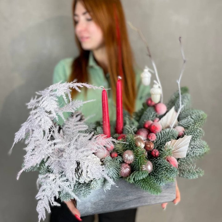 Бокс красный с нобилисом в Туле