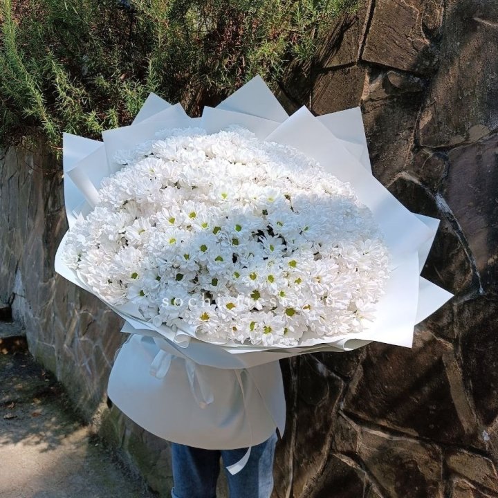 Облако хризантем №2 в Туле