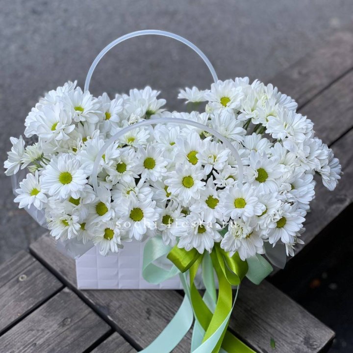 Сумка с хризантемами ромашками в Туле