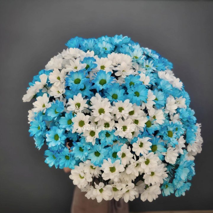  Букет хризантем микс в Туле